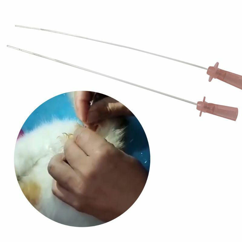 Pet Animal for Cat Urinary Catheter for Calculus Urina PVC for Cat Cathe