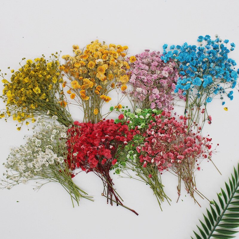 120 peças natuurlijke gypsophila gedroogde bloemen kleine bloeket droge bloemen druk mini decoratieve fotografie achtergron