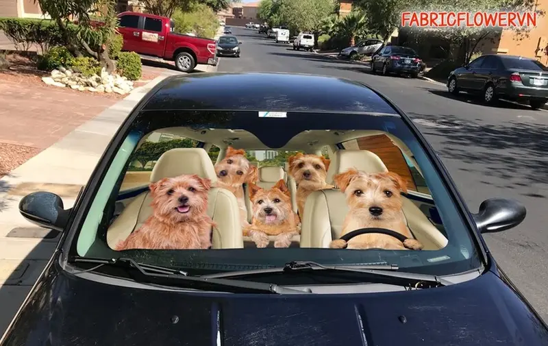 Schipperke-مظلة للسيارة ، ديكور الزجاج الأمامي لمحبي الكلاب ، هدية لأمي