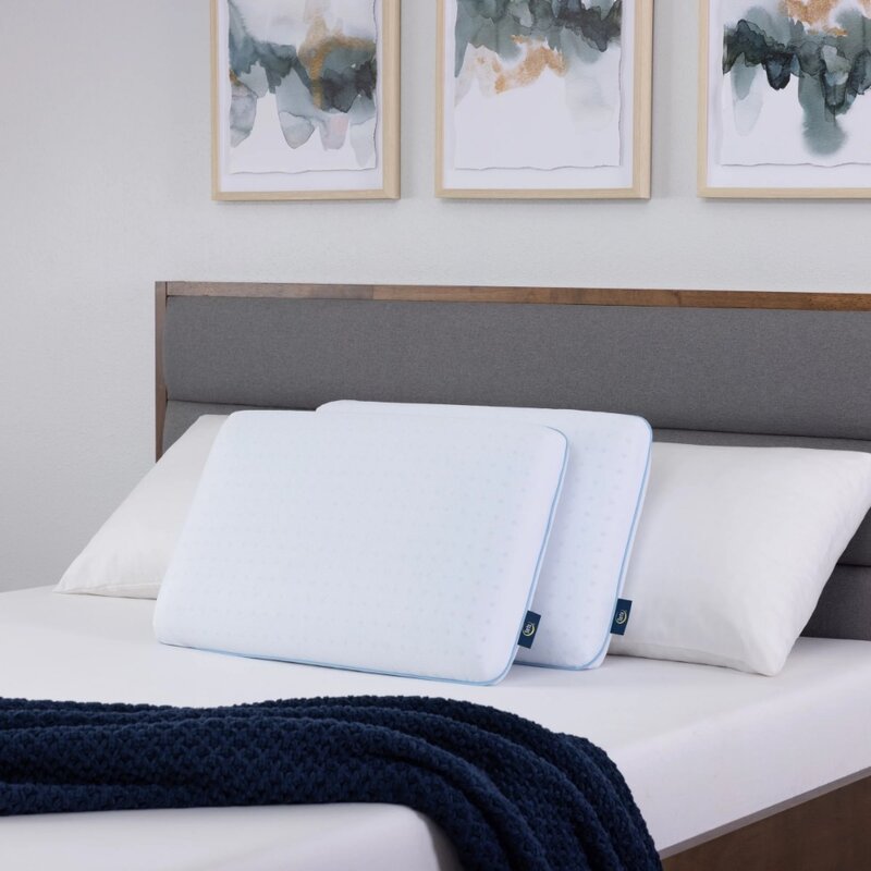 Memory Foam Pillow, Standard Queen (16” x 26” x 5”)
