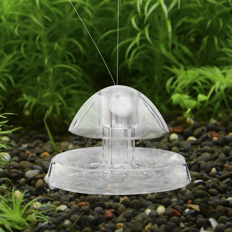 Grass Tank Removing Snail Tank Snail Catcher To Capture The Tank In The Tank Transparent 2Piece