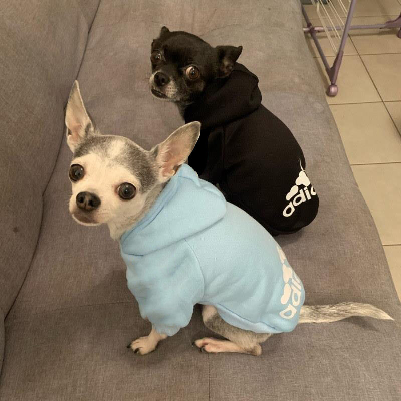 Cão quente roupas de inverno cães hoodies lã moletom cães jaqueta roupas pet traje cães roupas para pequeno médio grande