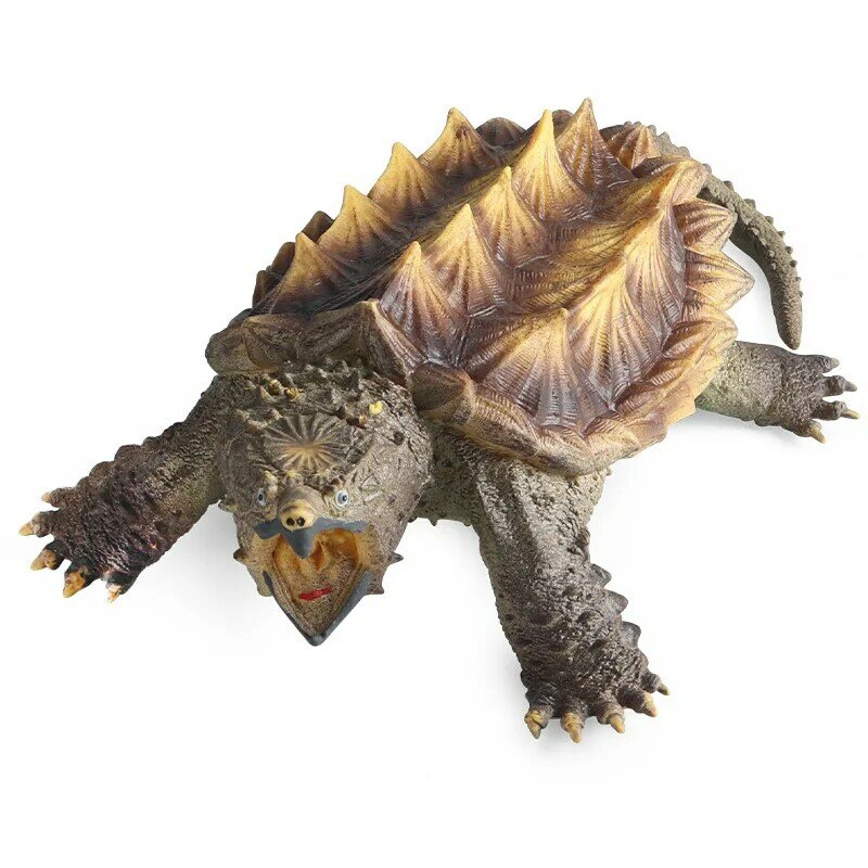 Modello animale d'acqua dolce simulato grande tartaruga di coccodrillo tartaruga tartaruga modello di biologia cognitiva decorazioni giocattolo