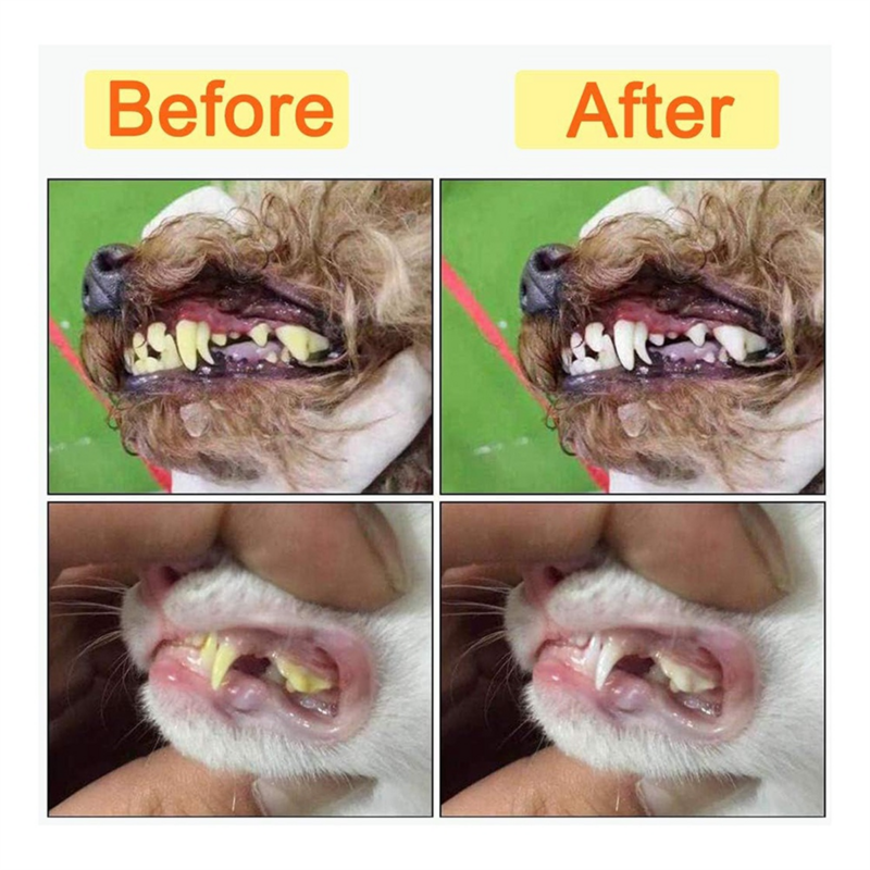 Rimozione della placca del cane e del tartaro, detergente per denti ad ultrasuoni per cani e gatti, Kit dentale ad ultrasuoni, detergente dentale