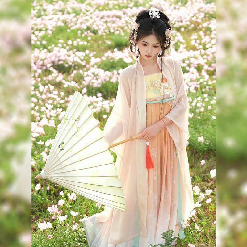 Chinese Traditional Hanfu Costume Women Ancient Dress Oriental Embroidery Princess Dress Elegance Tang Dynasty Dance Wear Dress