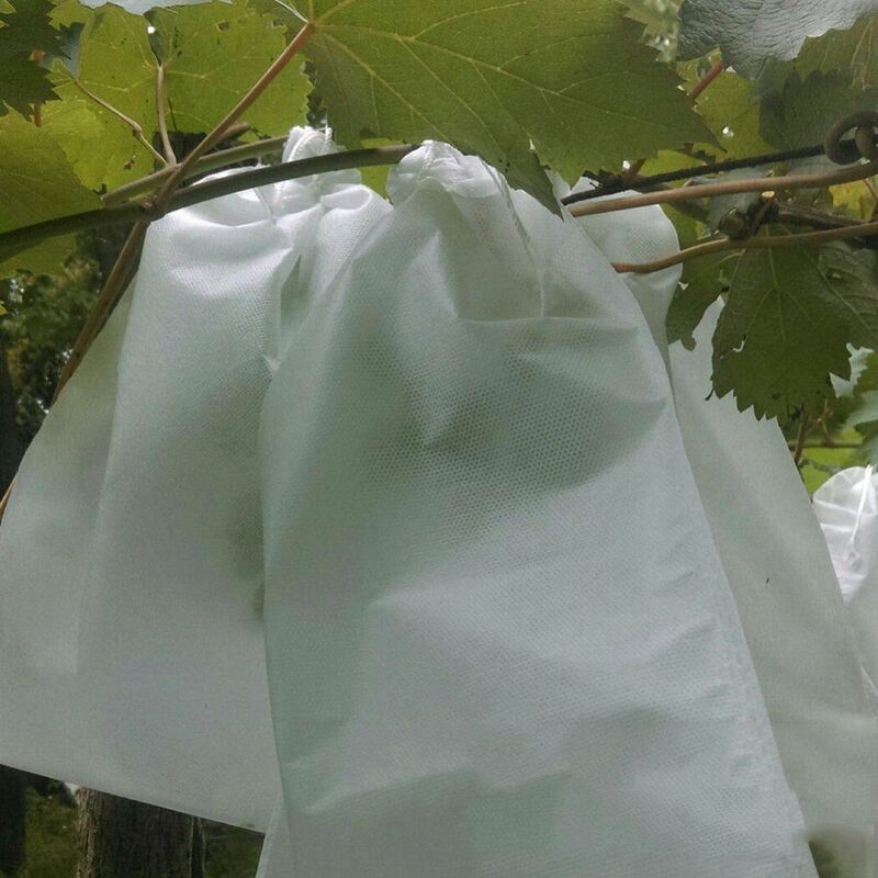Borsa da allevamento per il controllo dei parassiti in stile con coulisse Anti-uccello zanzare forniture da giardino borsa a rete custodia protettiva per sacchetti di protezione dell'uva