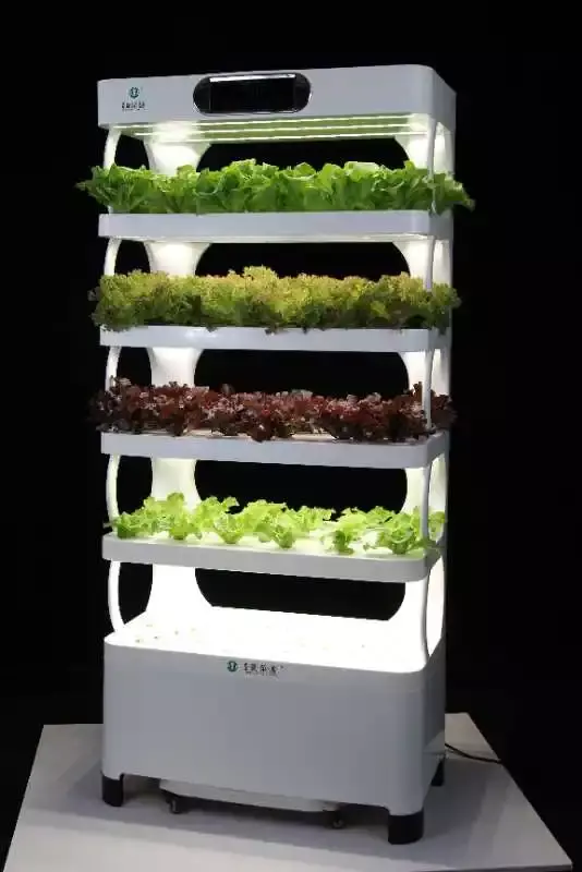 Inteligentne, tanie rośliny hydroponika pionowa wieża systemy hydroponiczne lampy do wzrostu ogrodowego sadzą warzywa rybne z oświetlenie LED do uprawy