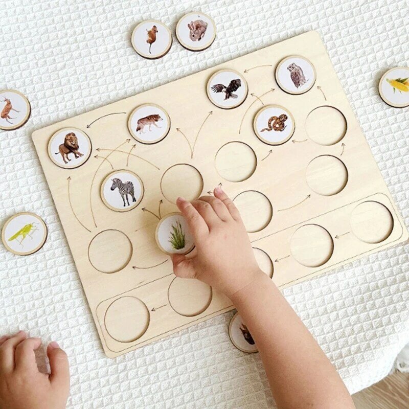 Biologisch leerbord Kinderen Montessori Voedselketen Cognitief speelgoed Voedselcyclus Onderwijs Tangrams Educatieve puzzel voor