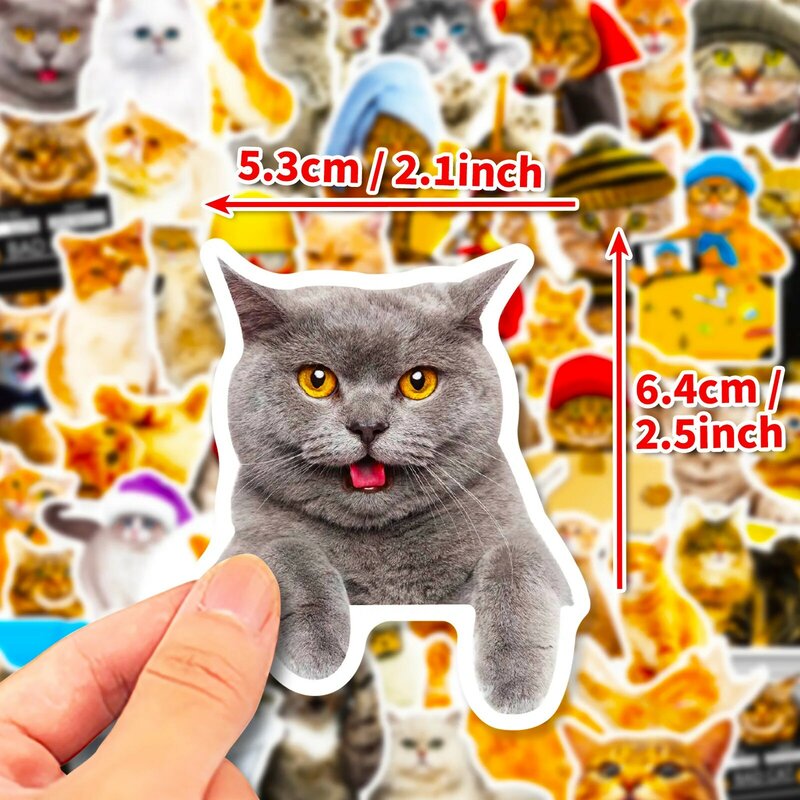 50 buah lucu realistis kucing stiker tahan air Skateboard telepon Ketel sepeda Laptop kulkas grafiti hadiah anak-anak