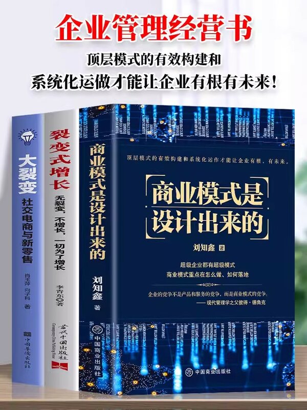 Juego completo de 4 volúmenes de Libros económicos y de gestión, la dimensión del modelo de negocio y el proceso específico, Libros