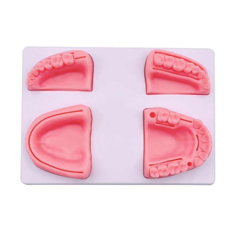 مجموعة وسادة ممارسة خياطة الأسنان قابلة لإعادة الاستخدام مجموعة وسادة خياطة الجلد البشري دروبشيب
