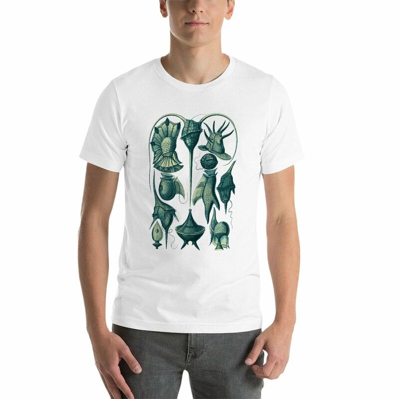 Ernst Haeckel Peridinea 남성용 플랑크톤 청록색 티셔츠, 오버사이즈 빈티지 의류, 팩