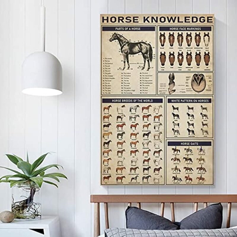 Póster de Animal Horse Knowledge, cartel de hojalata de Metal, póster de raza de caballo, impresión en lienzo, arte de pared, pintura en lienzo, carteles e impresiones de pared