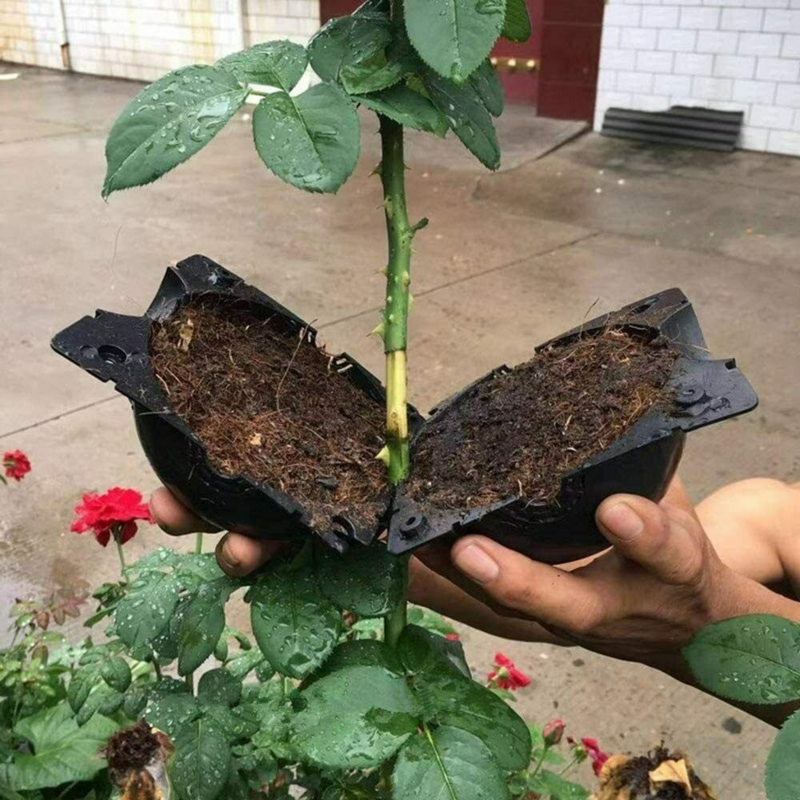 Palla per radicazione dell'albero vasi per vivaio con innesto da 12cm vasi per coltivazione di propagazione ad alta pressione per piantine accessori per il giardinaggio