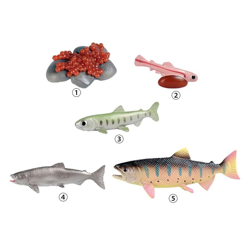 Cykl życia zabawek łososia realistyczny Model biologii narzędzia dydaktyczne figurki cyklu wzrostu zwierząt prezentacje do odgrywania ról imprezy