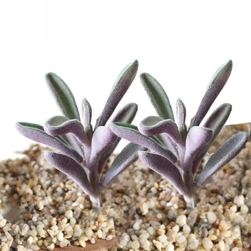 Fake Succulent Realistic Fake Succulents Unpotted Realistic Cute Faux Succulents For Home Decor DIY Crafting Offices