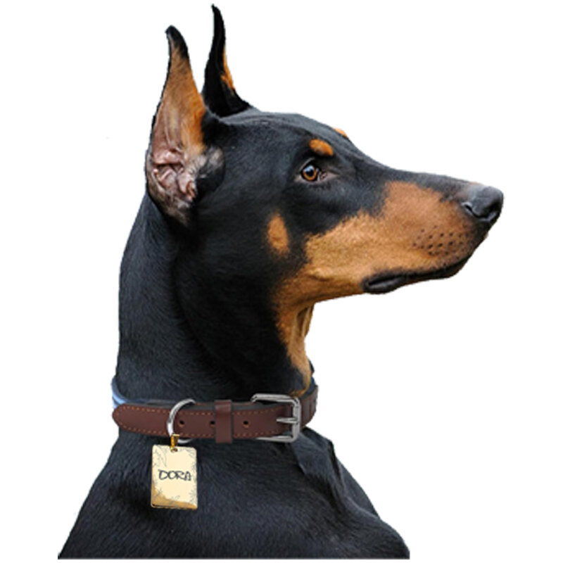 Etiquetas personalizadas para mascotas, collares grabados personalizados para gatos y perros, etiqueta de nombre para mascotas, accesorios para mascotas West Highland