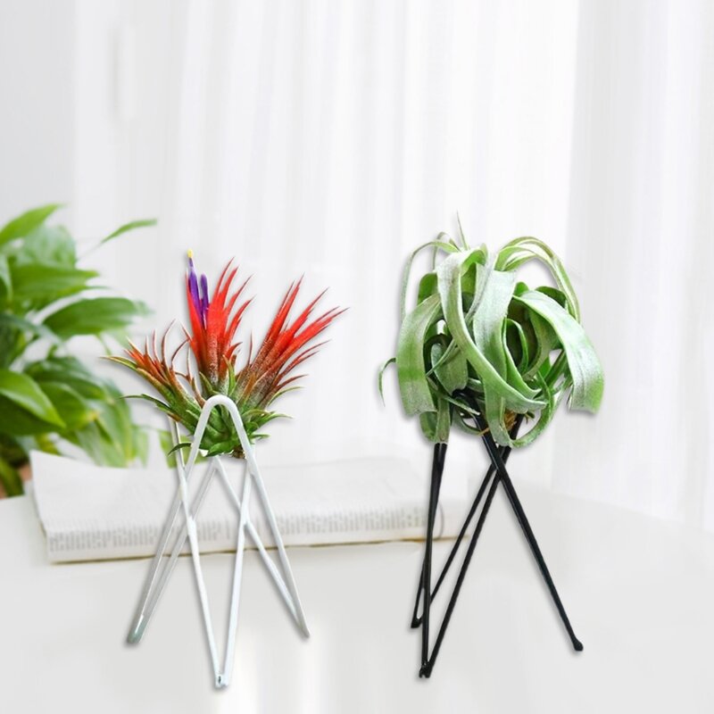 Suporte para planta ar Suporte para vaso flores metal Geométrico Ferro Tillandsia Display Art