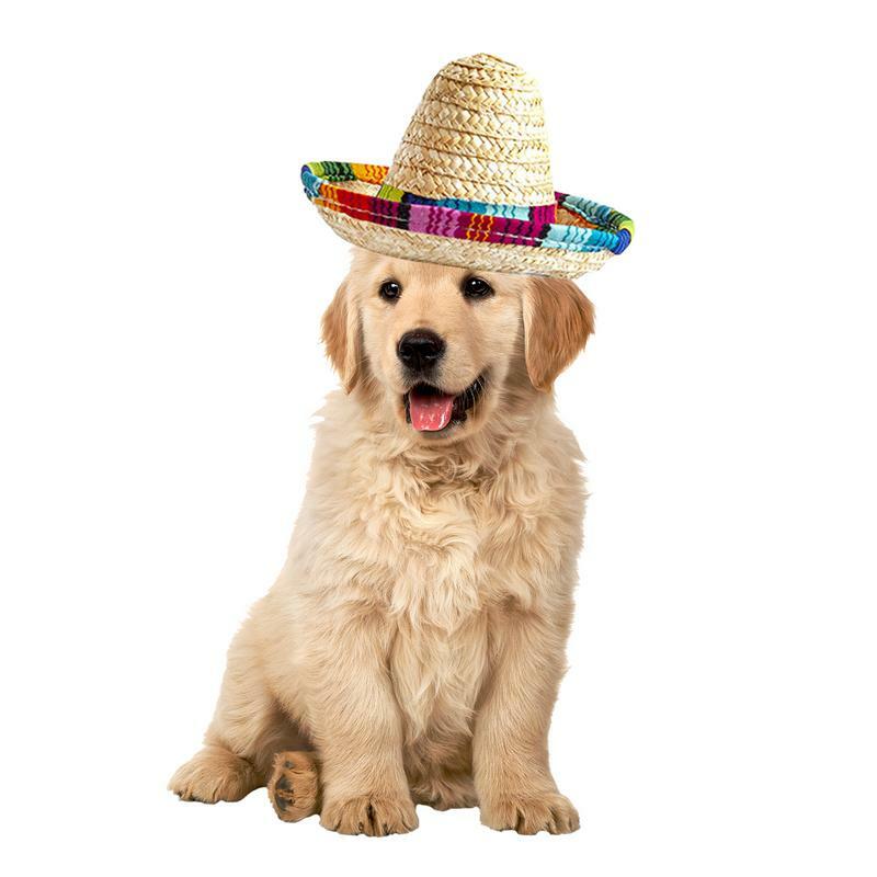 멕시코 애완 동물 솜브레로 미니 빨대 모자, 천연 직물 및 빨대 디자인, 작은 애완 동물 고양이 개