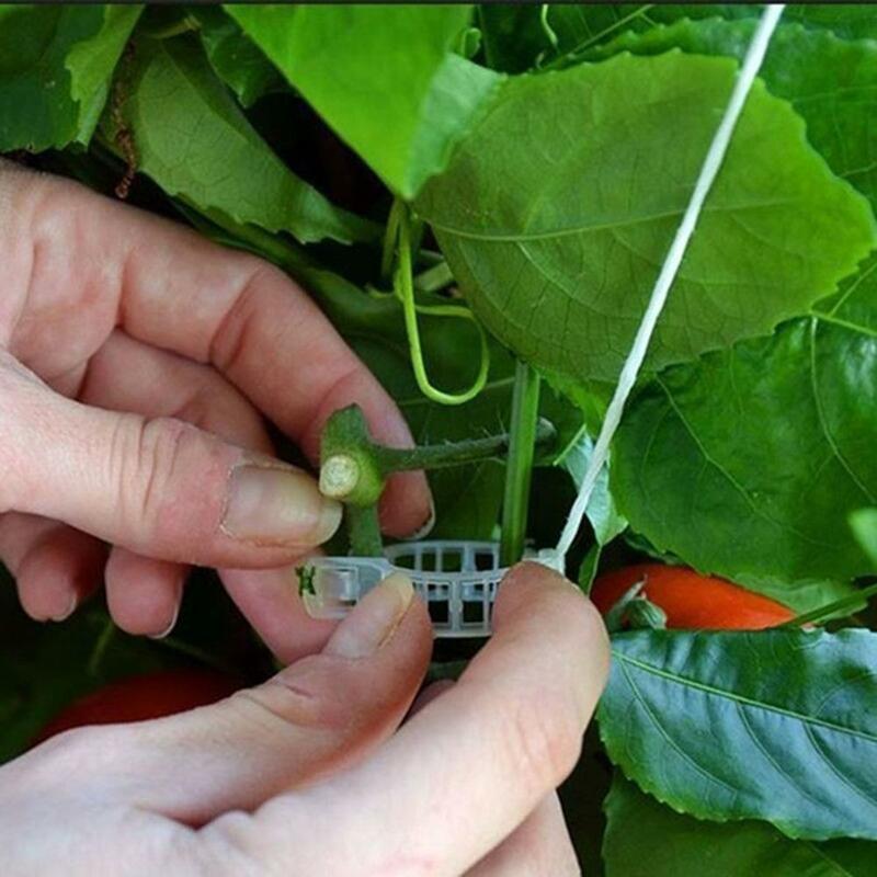 1-50 szt. Plastikowa roślina klipsy podpórki do narzędzia ogrodnicze do mocowania wielokrotnego użytku do szczepienia pomidorów warzywnych