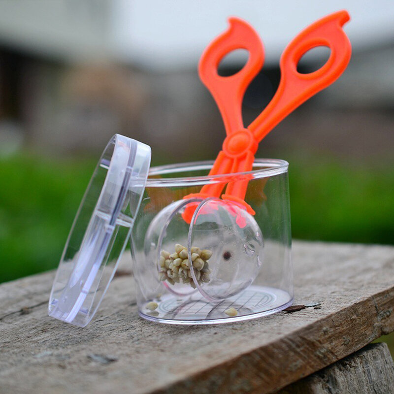 Kit mainan eksplorasi alam plastik untuk anak-anak, alat belajar serangga tanaman-penjepit Gunting Plastik