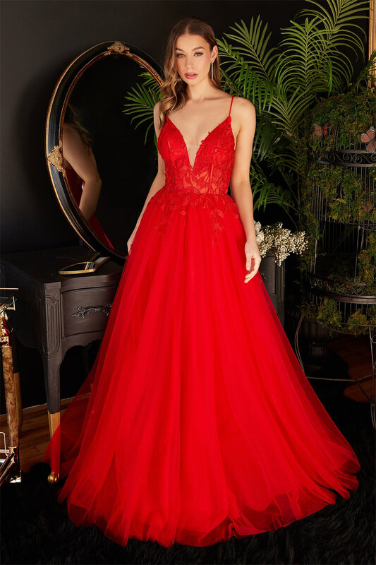 Spaghetti Strap V-Neck Appliques Tulle Evening Dress Backless Sleeveless Floor-Length Puffy Illusion Formal Party Ball Gown