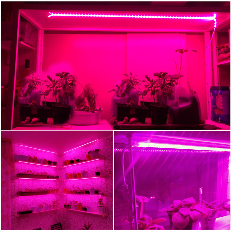 식물 램프 방수 LED 스트립, 성장 조명, 풀 스펙트럼, 220V, 꽃 묘목 텐트 수경재배, 1-20m