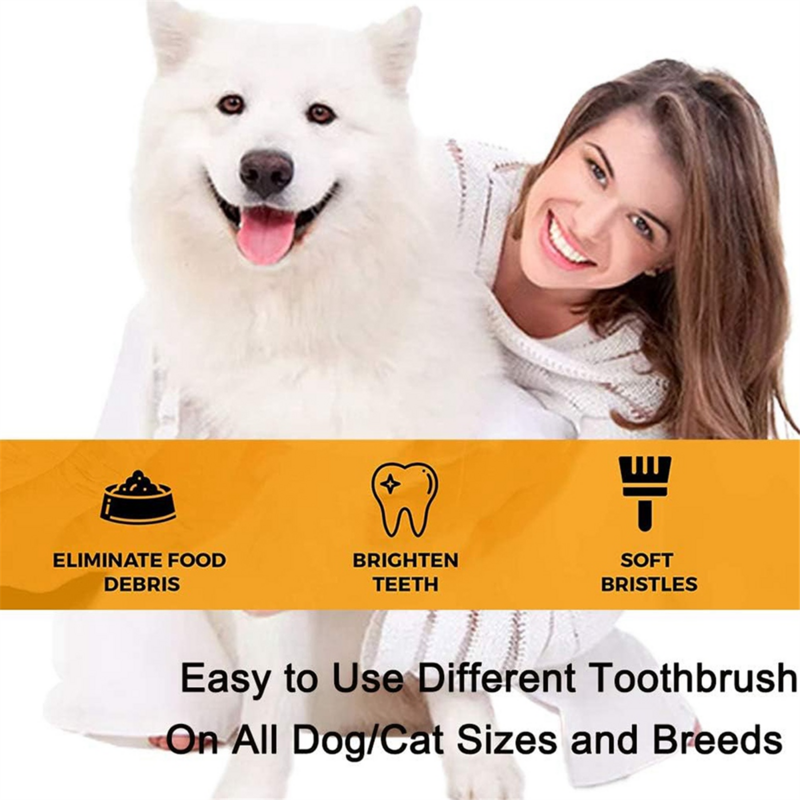Dissolvant de plaque dentaire et de tartre pour chien, nettoyeur de dents à ultrasons pour chiens et chats, kit dentaire à ultrasons