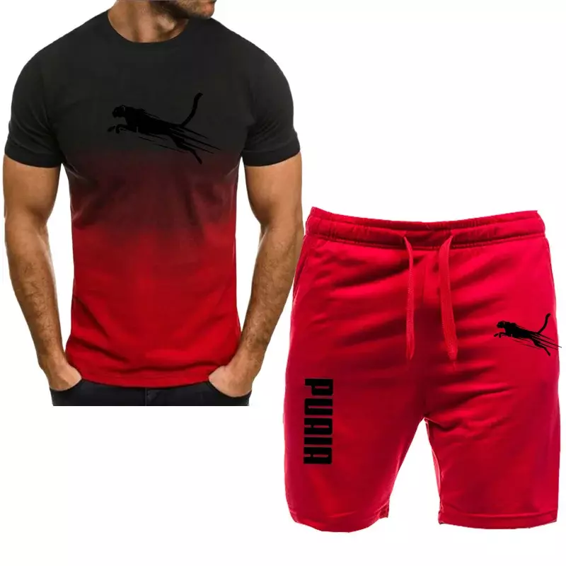 Heren Sportset, Casual T-Shirt Set En Hardloopshorts, Ademend, 2 Stuks, Nieuw 2024