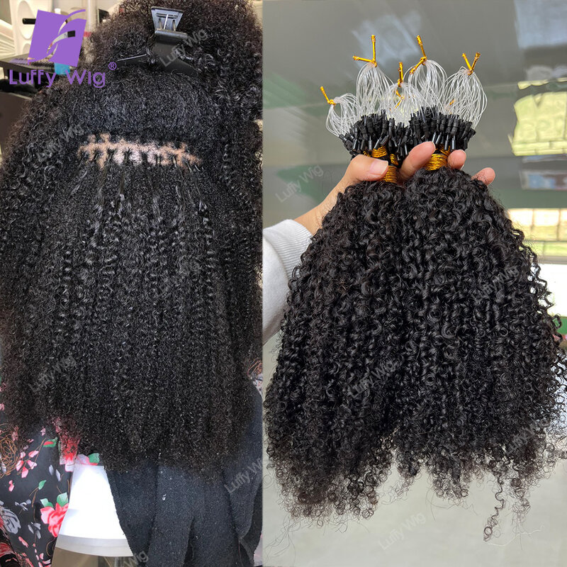 Extensions de Cheveux Humains Brésiliens Remy avec Micro Boucle, Mèches Afro Crépues et Bouclées, avec Anneau, Lien 4B 4C, 100%