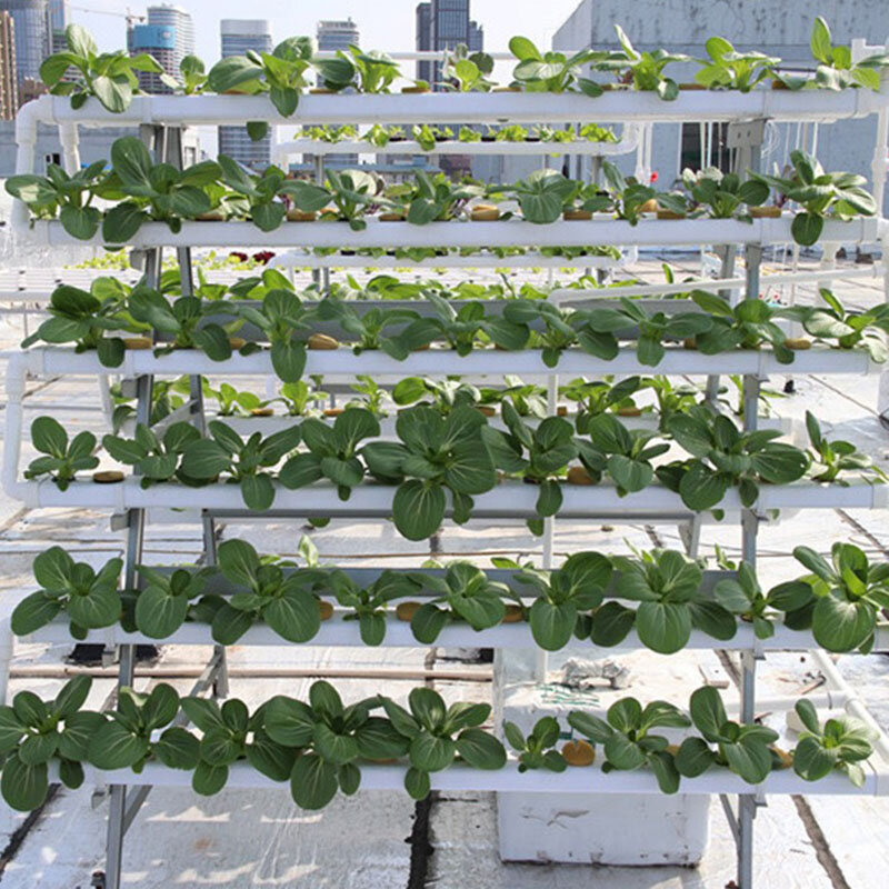 Sprzęt uprawy bezglebowej System uprawy hydroponiki pionowy sprzęt ogrodniczy sadzarka hydroponiczna metalowa półka do sadzenia