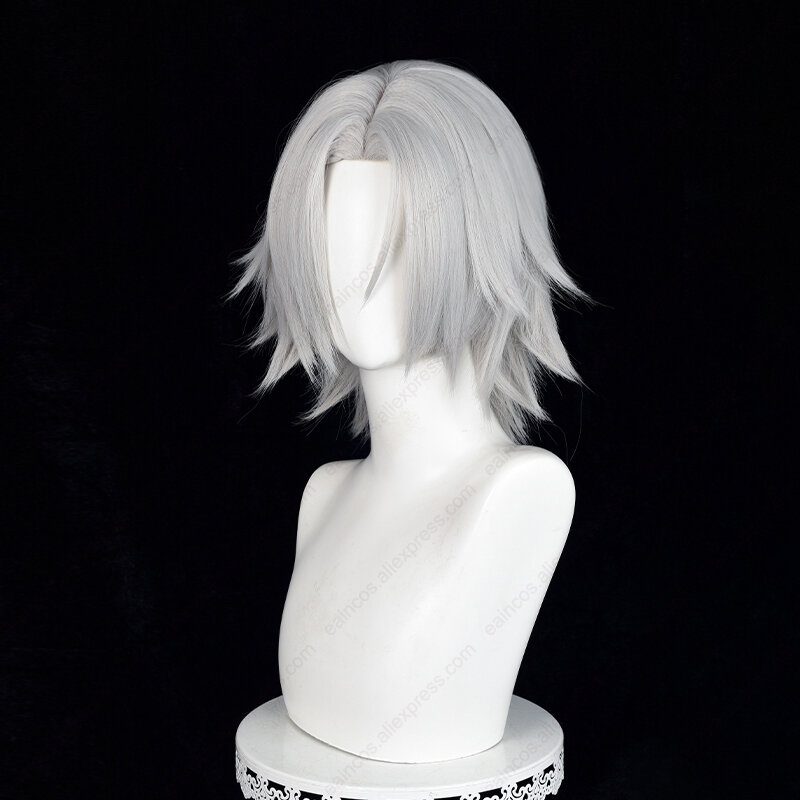 Anime Hayato Gokudera parrucca Cosplay 33cm parrucche corte grigie calde capelli sintetici resistenti al calore