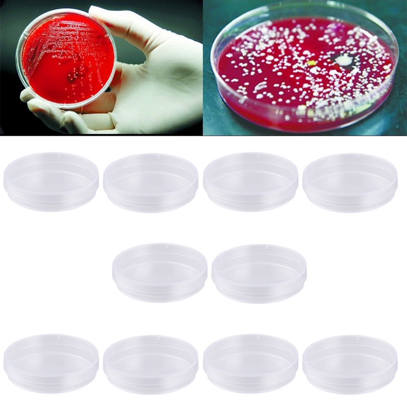 Set di piastre Petri da 20 pezzi con coperchi cultura per esperimenti scientifici scolastici biologia microbiologia studio 60MM