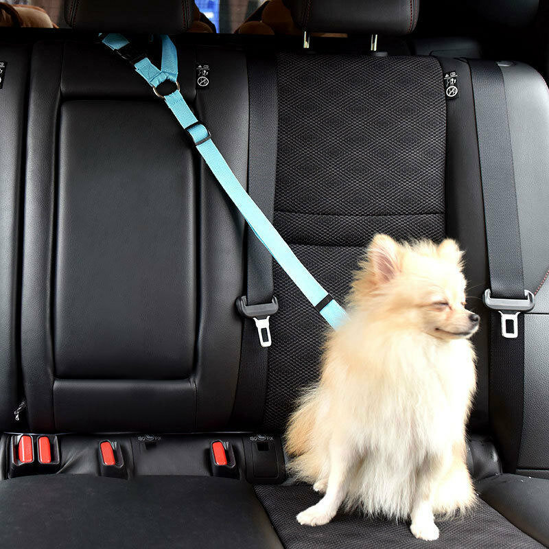 Pet Dog Seat Belt Vehicle Car Puppy Car Seatbelt Harness Lead Clip Pet Dog Supplies Safety Lever Auto Traction Products