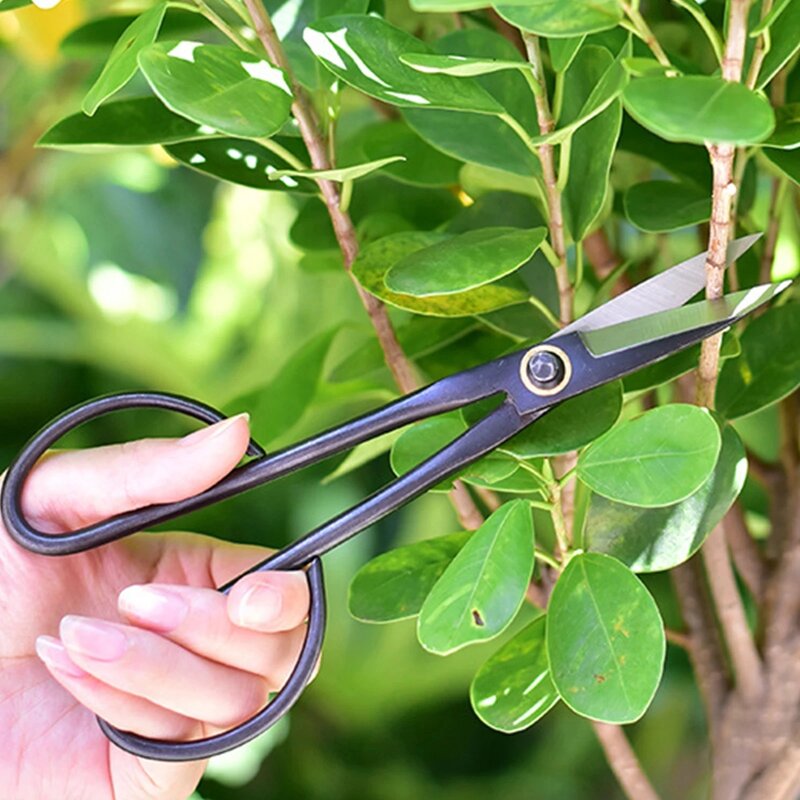 21cm iniciante bonsai ferramenta longo lidar com tesoura jardinagem tesoura ramo da planta tesouras de poda de jardim bonsai tesoura transporte da gota