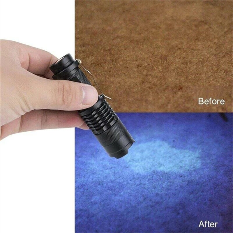 Torcia UV a LED torcia a raggi ultravioletti con funzione Zoom Mini UV Black Light rilevatore di macchie di urina per animali domestici caccia allo scorpione