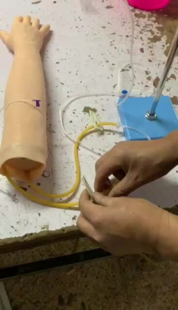 Modelo venoso do braço da punção, molde do treinamento da infusão, modelo médico simulado da prática da injeção do braço.