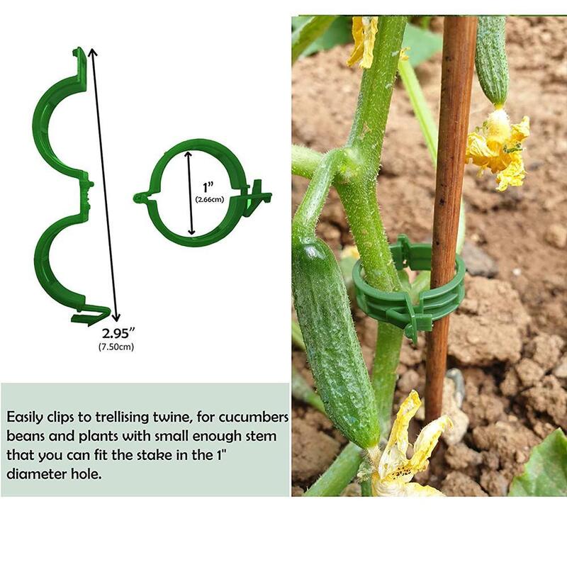 1Pcs Plant Clips Supports Reusable Plastic Connects Fixing Vine Tomato Stem Grafting Vegetable Plants Orchard And Garden Tools