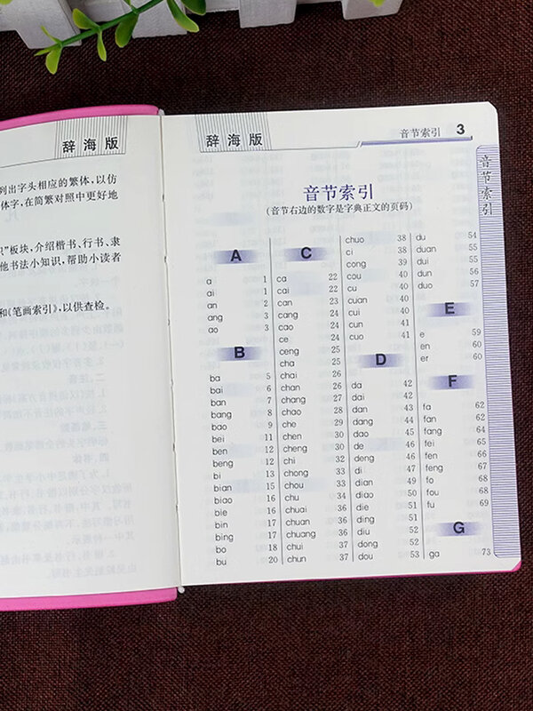 Veelgebruikte Chinese Karakters, Pennen, Vijf Lichaamswoordenboeken, Normaal Script, Lopend Script