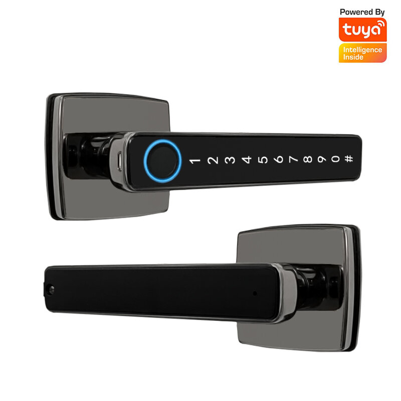 Tuya Smart Home Bluetooth Fingerprint Locks Smart Door Lock Digital Password APP Remote Unlock Electronic Lock for Alexa Google