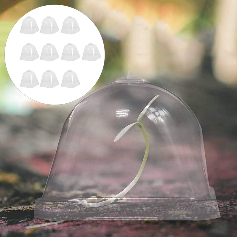 Kit perlindungan beku tanaman transparan kubah bibit penutup plastik