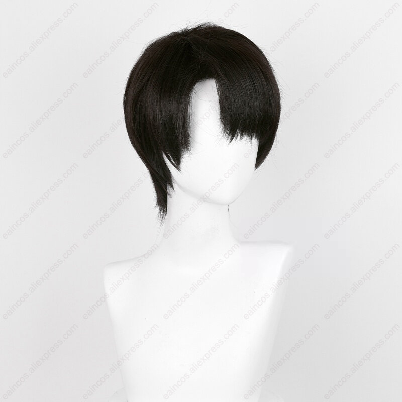 Peluca de Cosplay de Anime Levi Ackerman para hombres, pelucas cortas negras y marrones, pelucas sintéticas resistentes al calor, fiesta de Halloween, 30cm