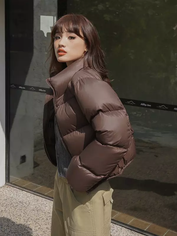 Женская хлопковая куртка, однотонная Толстая ветрозащитная верхняя одежда, осень-зима 2023, короткие парки, куртка, женская теплая свободная пуховая куртка на молнии