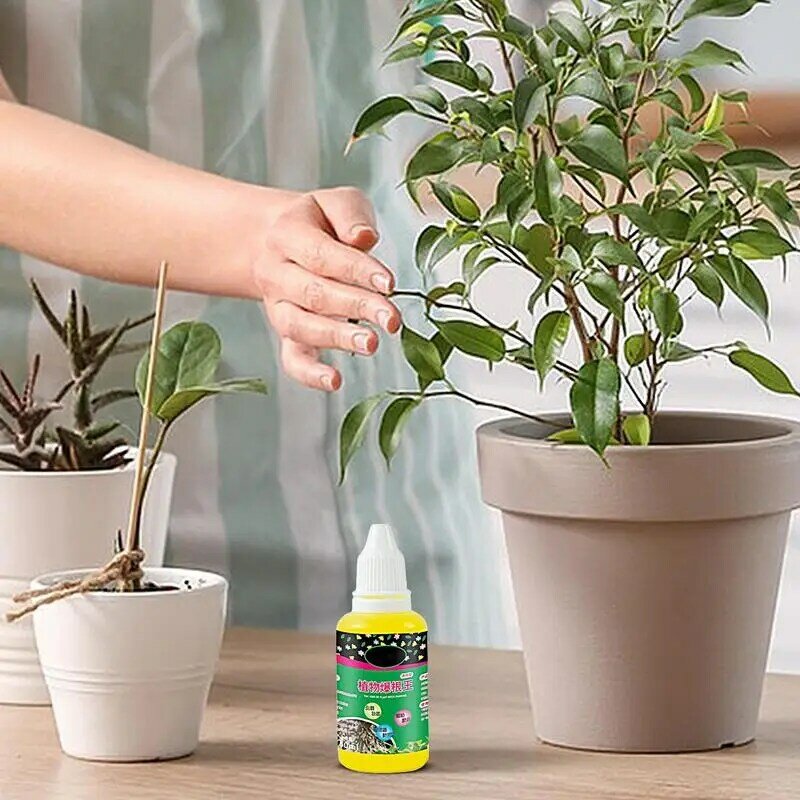 Root Stimulator For Plants Liquid 50ml Concentrated Plant Nutrient Solution Gardening Supplies Nutrient Drops For Flowers Garden