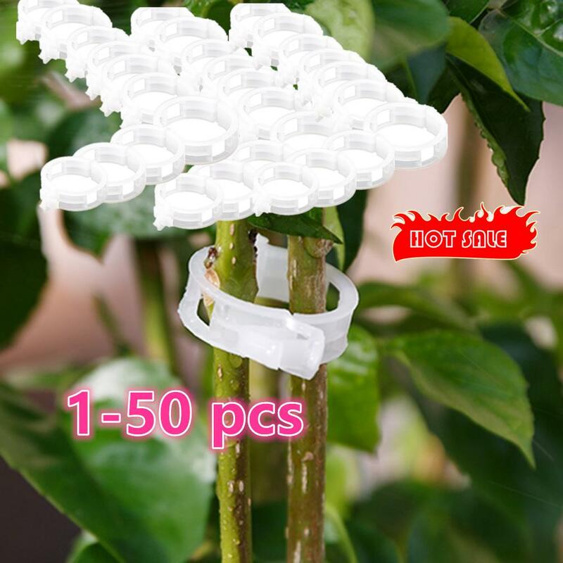 Supporti per clip per piante in plastica da 1-50 pezzi per attrezzi da giardinaggio per il fissaggio dell'innesto di protezione riutilizzabile del pomodoro vegetale