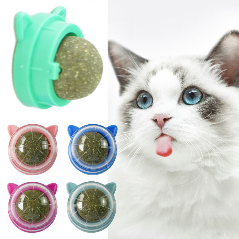 1 sztuk naturalna kocimiętka kot ściany Stick-on zabawkowa piłka traktuje zdrowe usuwa kulki włosów, aby promować trawienie trawa Snack artykuły dla zwierząt