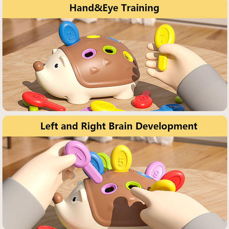 Montessori Hedgehog Brinquedos para Bebê, Coordenação Mão-Olho, Treinamento Motor Fino, Desenvolver Concentração, Crianças Brinquedos Educativos Sensoriais