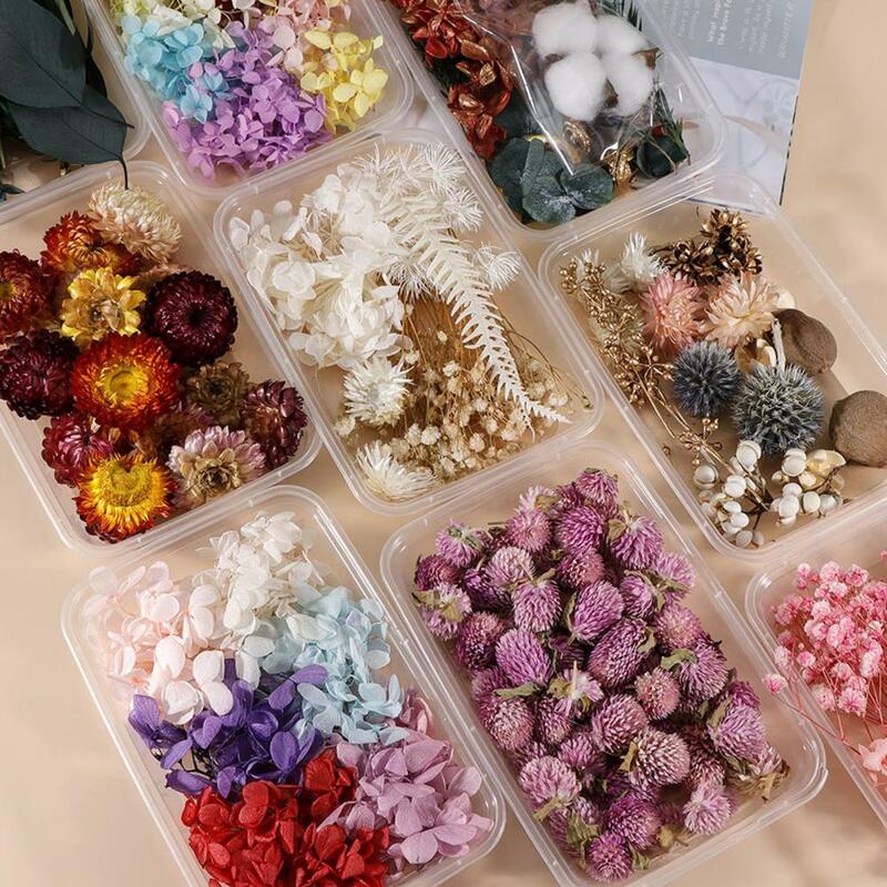 1 pudełko dekoracja suchy kwiat popularne kolorowe naturalne DIY dekoracja suchy kwiat żywe suszony kwiat artystyczne