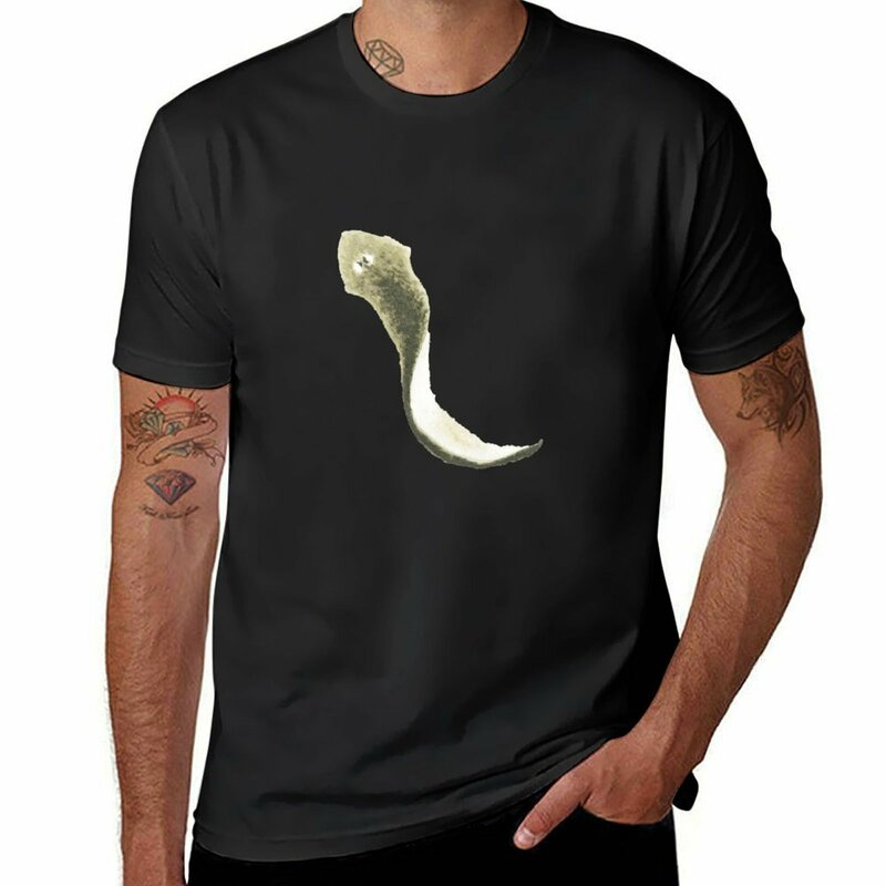 Watercolour Flatworm T-Shirt sports fans plus sizes summer top funny t shirts for men