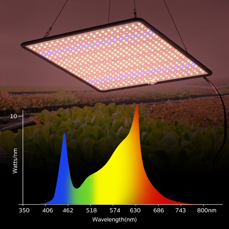 مصباح LED كامل الطيف AC85 ~ 265 فولت 1200 واط 40 واط مصباح متزايد لوحة Phytolamp للنباتات الدفيئة خيمة النمو الإضاءة
